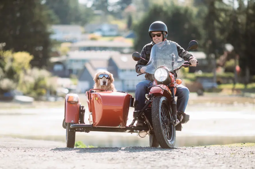 Sidecar