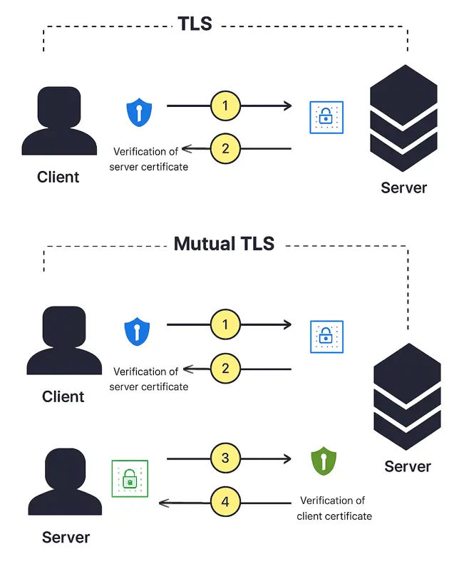 Difference between TLS and MTLS